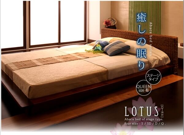 lotus設置イメージ